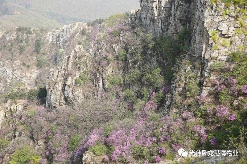 首页|7790必发集团中国官方网站