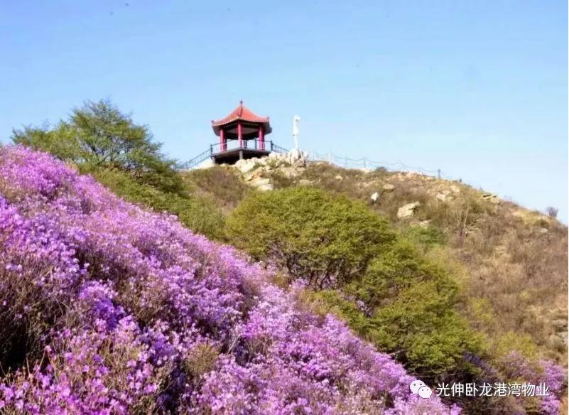 首页|7790必发集团中国官方网站