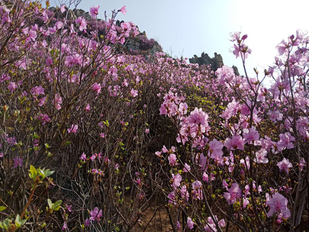 首页|7790必发集团中国官方网站