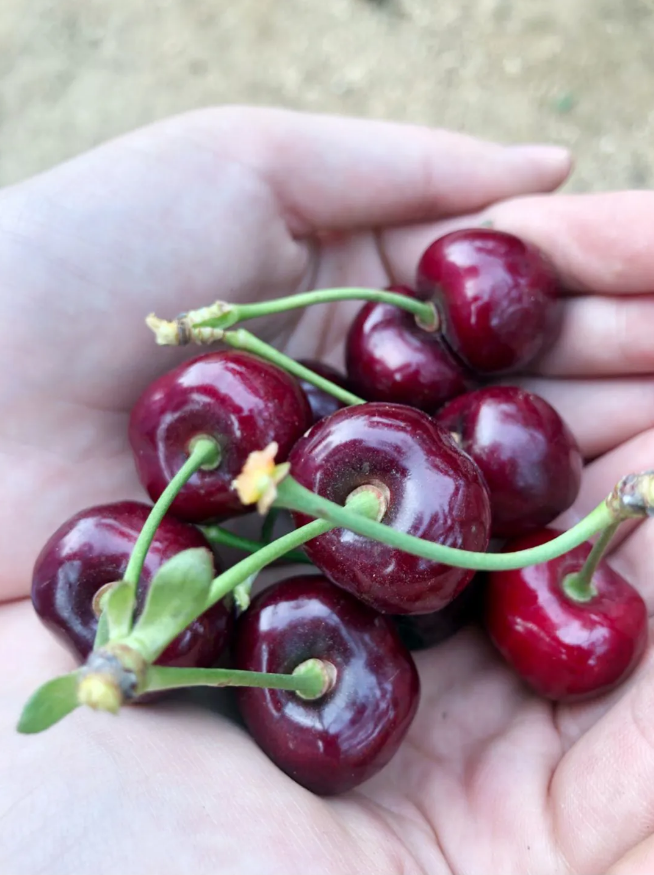 首页|7790必发集团中国官方网站